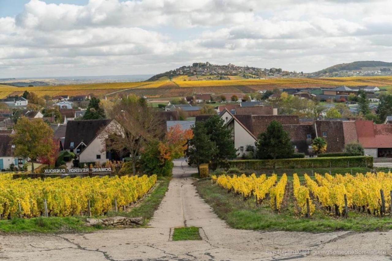 "La Veranda" Gite Verdigny Exteriör bild