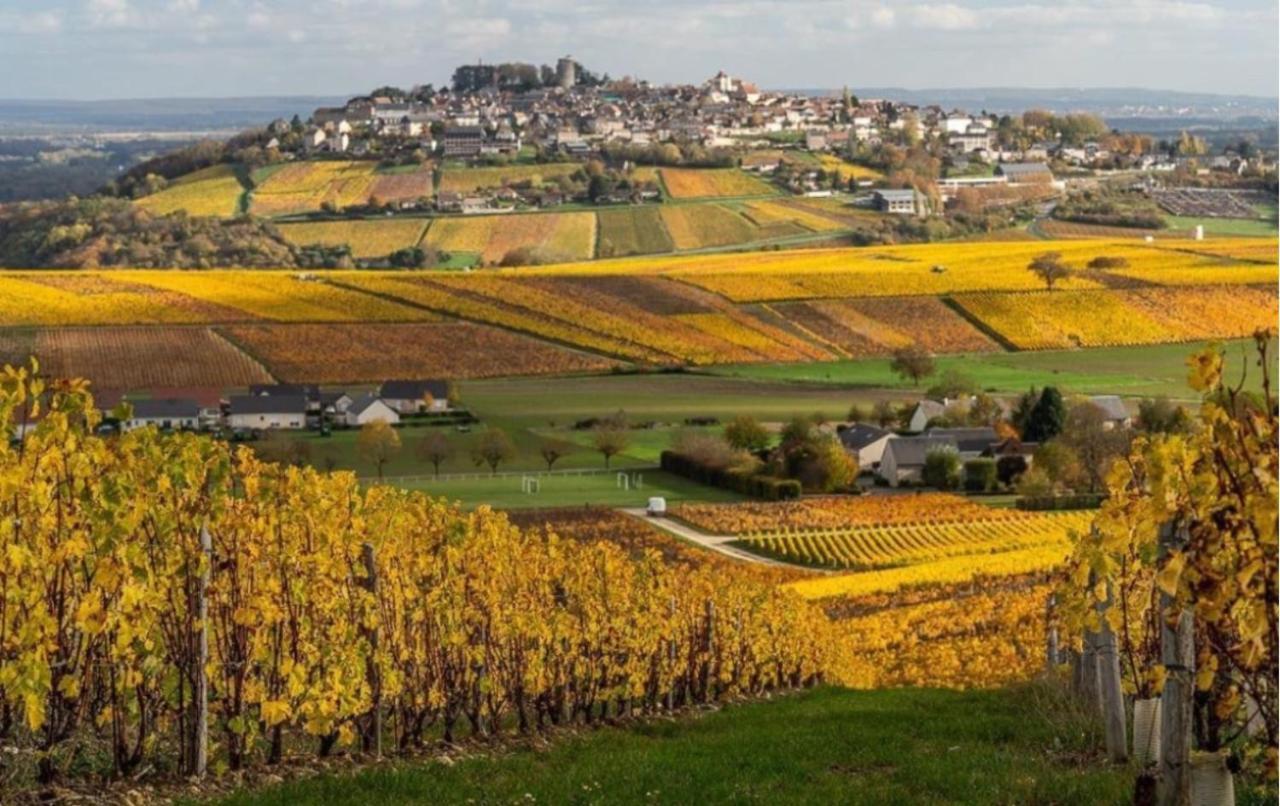 "La Veranda" Gite Verdigny Exteriör bild